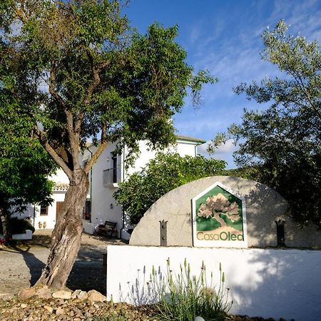 Casa Olea Panzió Priego de Córdoba Kültér fotó