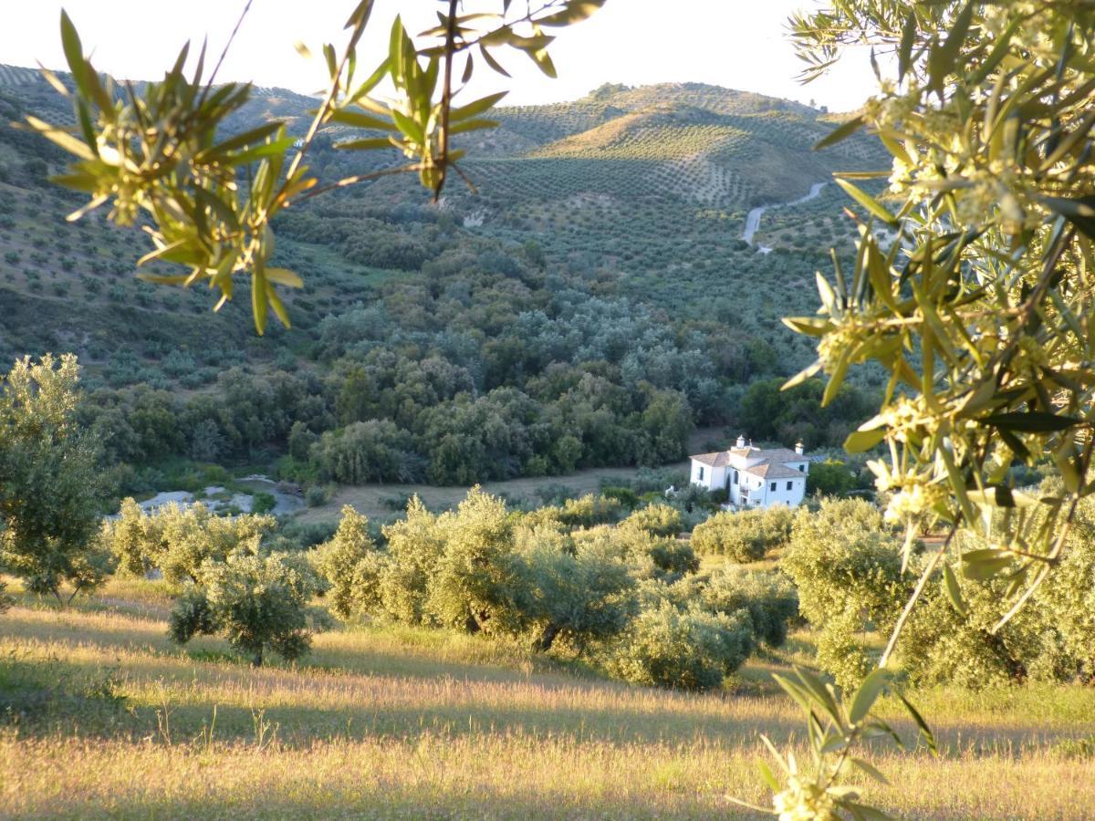 Casa Olea Panzió Priego de Córdoba Kültér fotó
