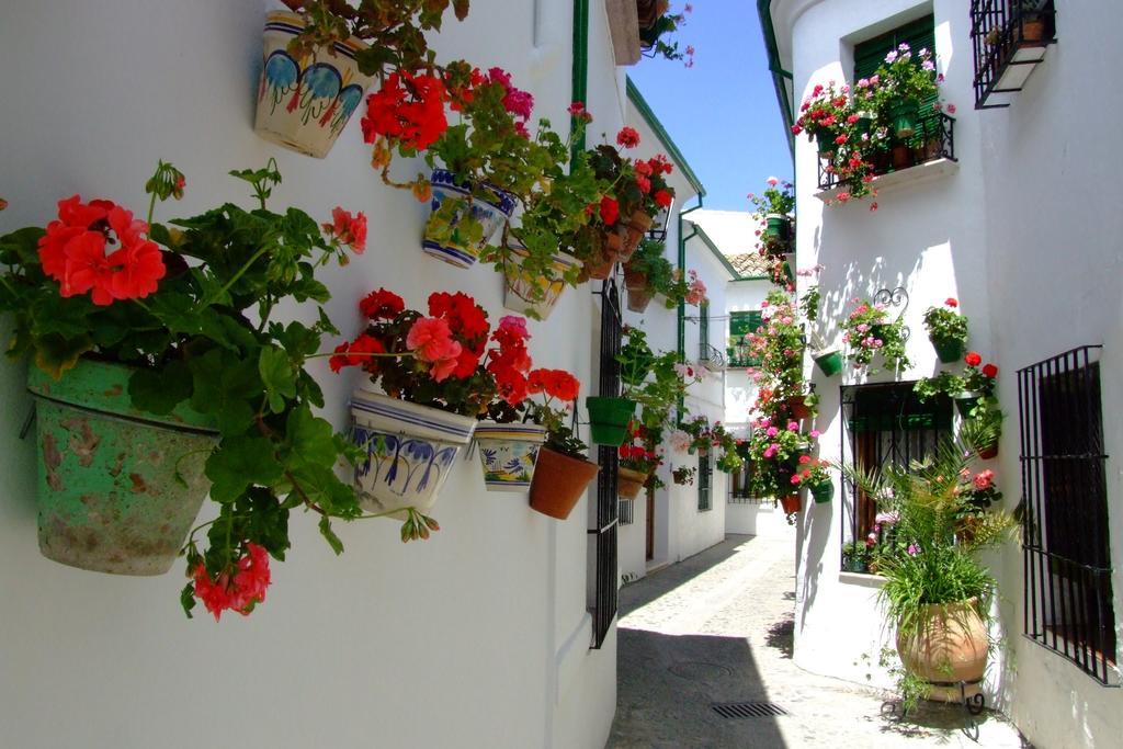 Casa Olea Panzió Priego de Córdoba Kültér fotó