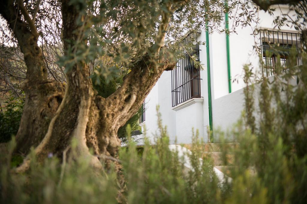 Casa Olea Panzió Priego de Córdoba Kültér fotó
