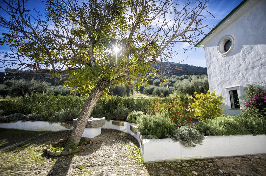 Casa Olea Panzió Priego de Córdoba Kültér fotó
